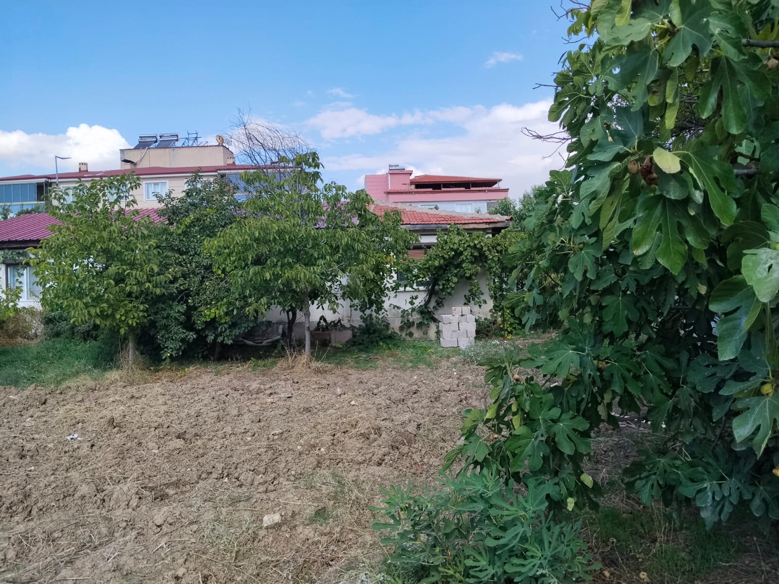 HONAZ KAKLIK’TA SATILIK MÜSTAKİL EV
